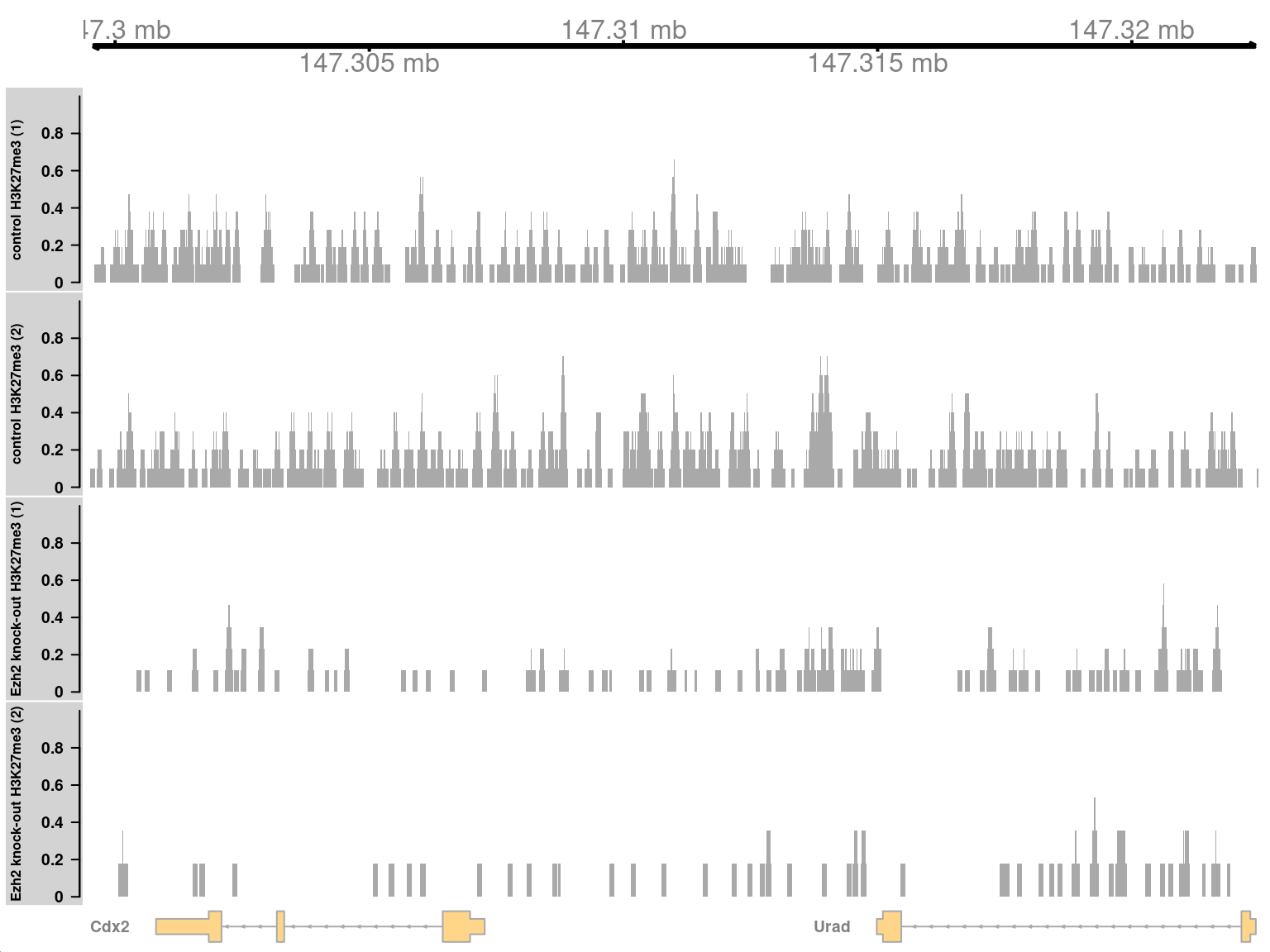 Coverage tracks for a region with H3K27me3 enrichment in KO (top two tracks) against the WT (last two tracks).