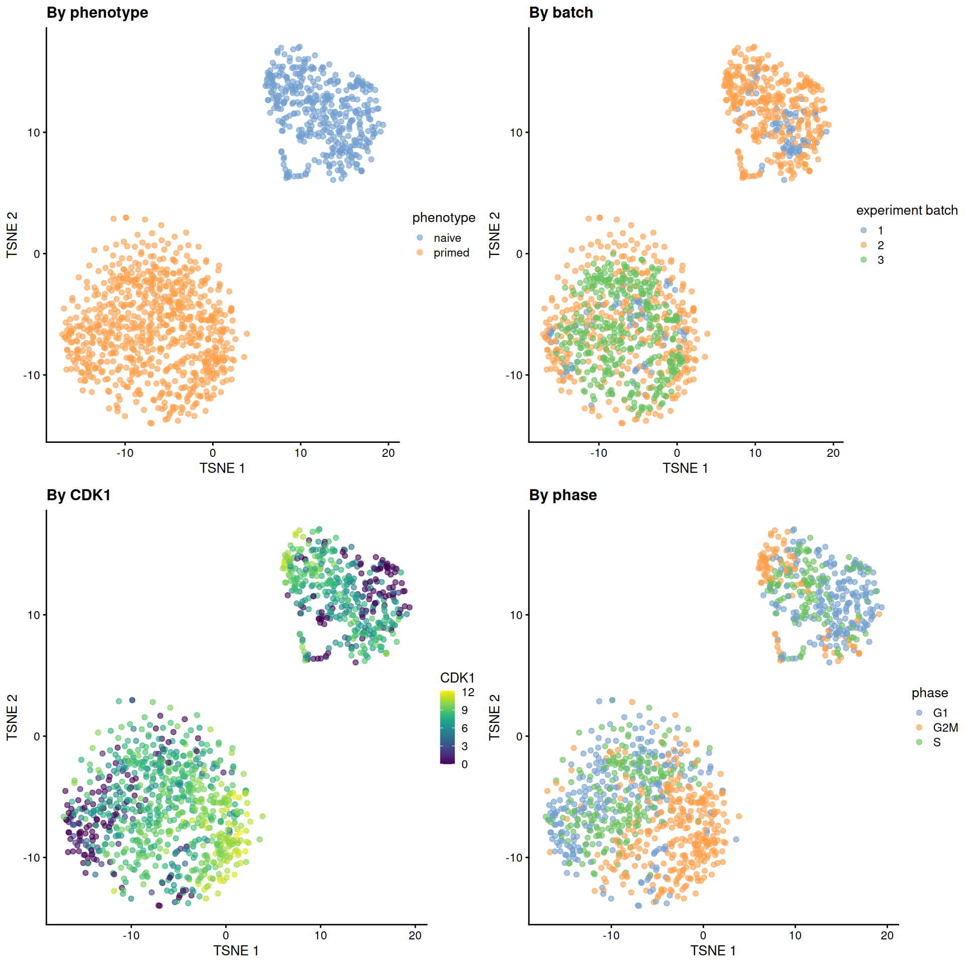 Obligatory $t$-SNE plots of the Messmer hESC dataset, where each point is a cell and is colored by various attributes.