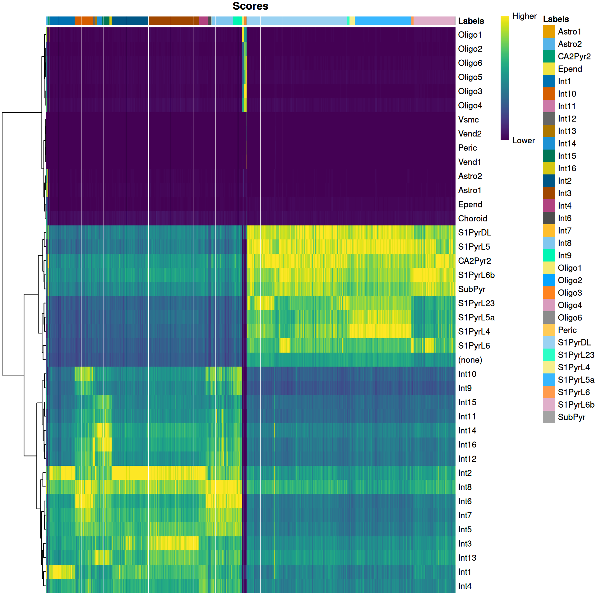 Heatmap of the (normalized) assignment scores for each cell (column) in the Tasic test dataset with respect to each label (row) in the Zeisel reference dataset. The final assignment for each cell is shown in the annotation bar at the top.