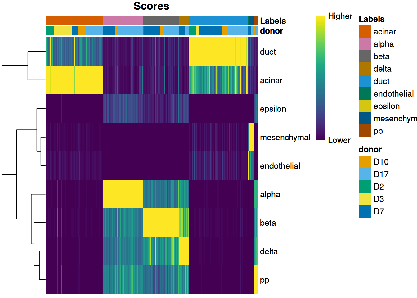 Heatmap of normalized scores for the Grun dataset, including the donor of origin for each cell.