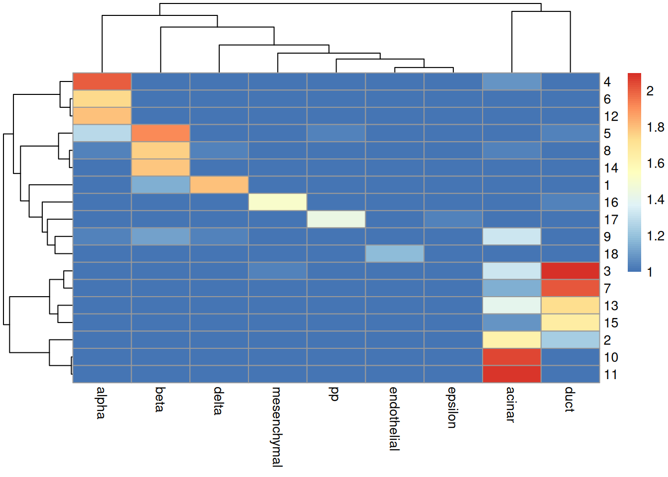 Heatmap of the log-transformed number of cells in each combination of label (column) and cluster (row) in the Grun dataset.