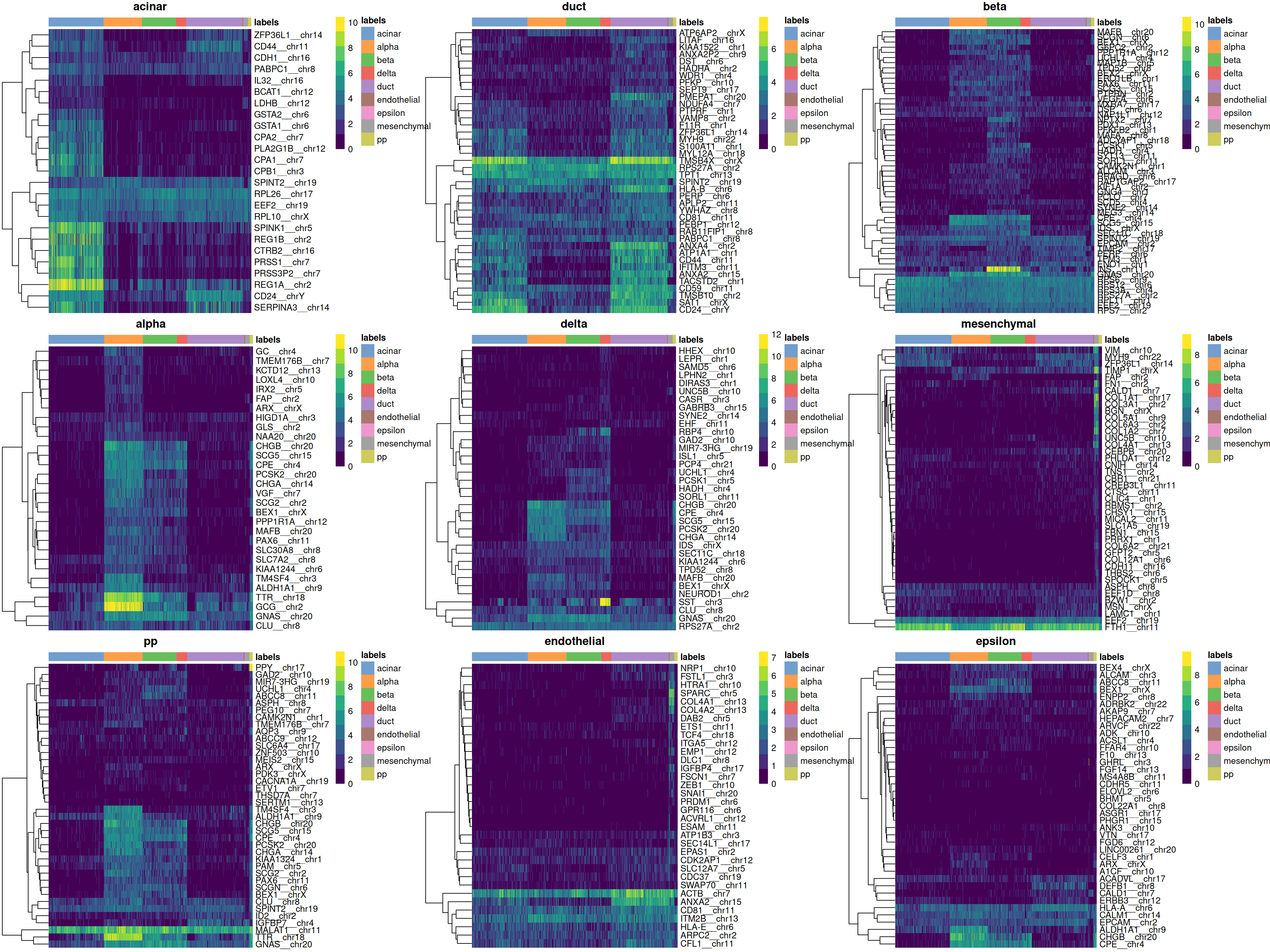 Heatmaps of log-expression values in the Grun dataset for all marker genes upregulated in each label in the Muraro reference dataset. Assigned labels for each cell are shown at the top of each plot.