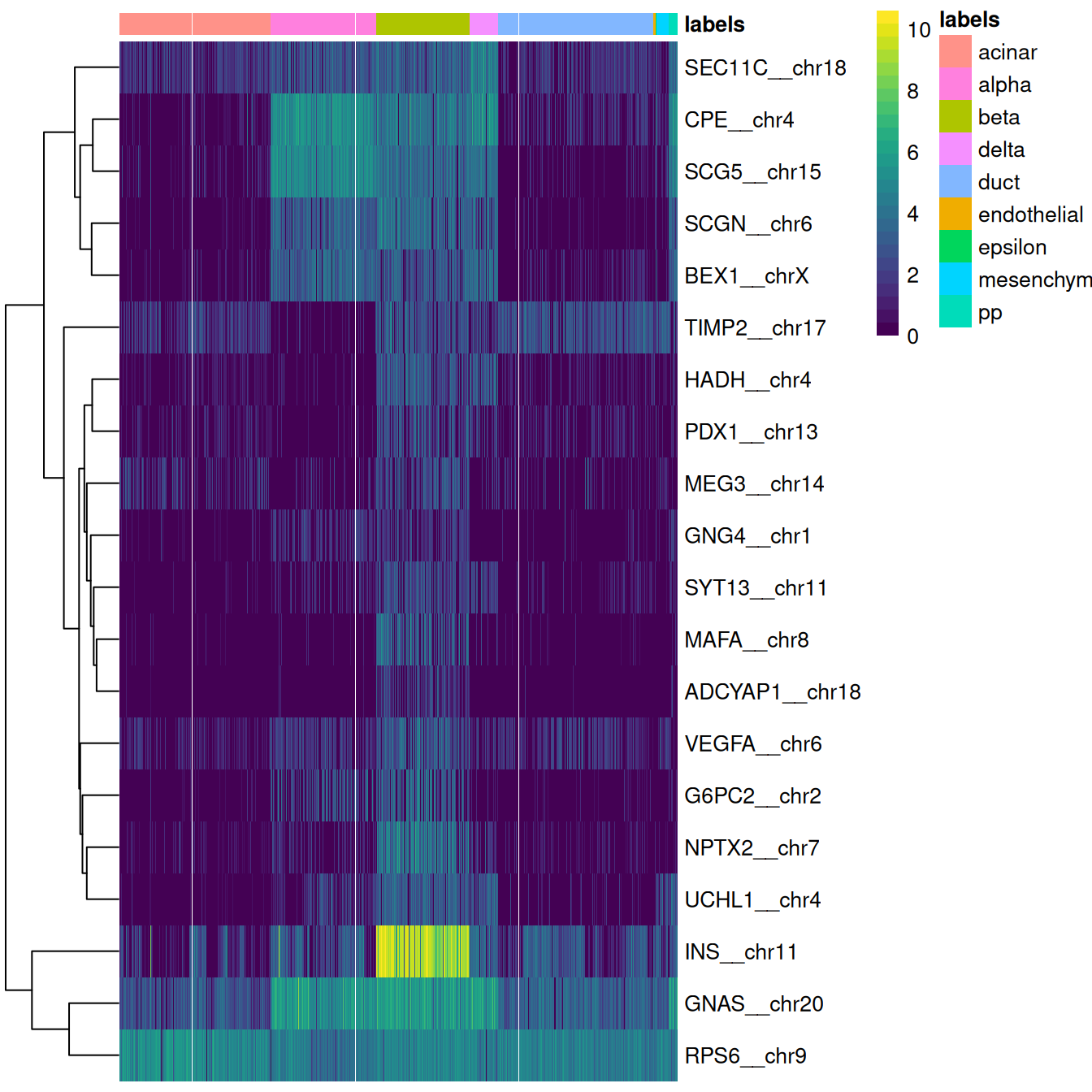 Heatmap of log-expression values in the Grun dataset for the top marker genes upregulated in beta cells in the Muraro reference dataset. Assigned labels for each cell are shown at the top of the plot.