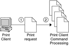 Illustration of the steps the print client software uses to locate printers. Also shows the various printer sources. See the following description.